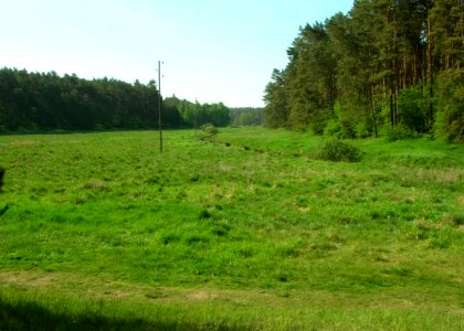 Dolina Strugi Młyńśkiej 2005a