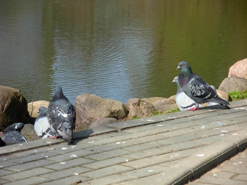 Dolina Pięciu Stawów Bydg 2010 i