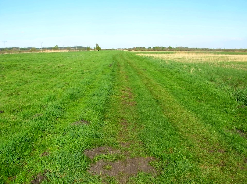 Dolina Kanału Bydgoskiego OsGr a 05-2013