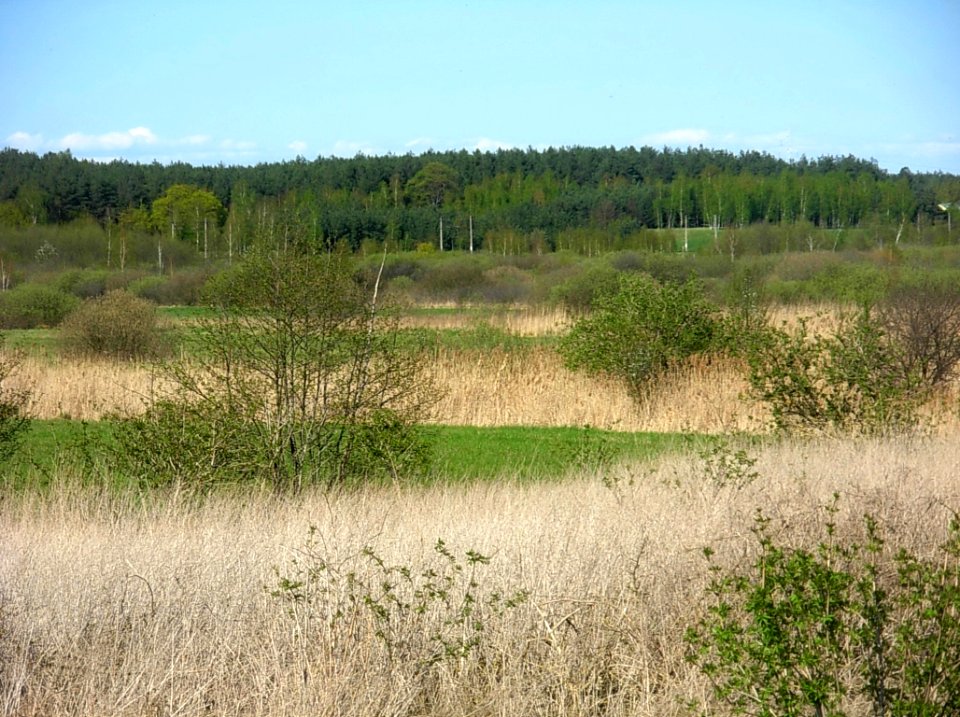 Dolina Kanału Bydgoskiego OsGr 05-2013