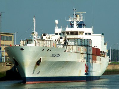 Dole Asia p2