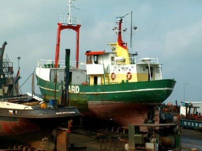 Dolfijn - IMO 5004570