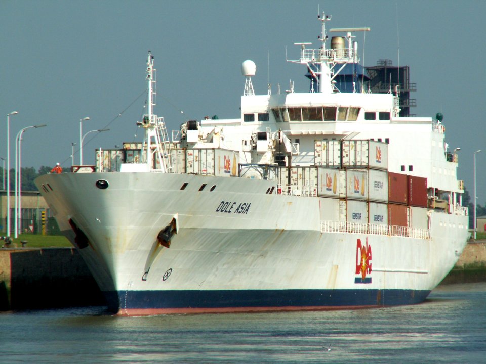 Dole Asia IMO 9046526 at Antwerp
