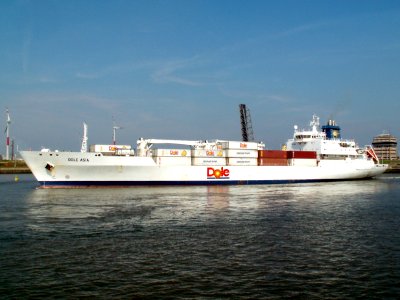 Dole Asia side
