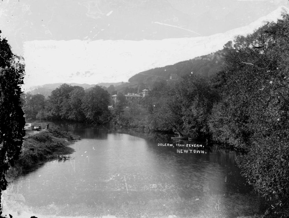 Dolerw, from Severn, Newtown (1293746)