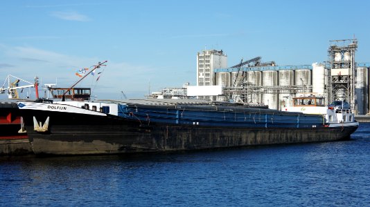 Dolfijn, ENI 03110498 at the Neptunushaven, Port of Amsterdam, pic1