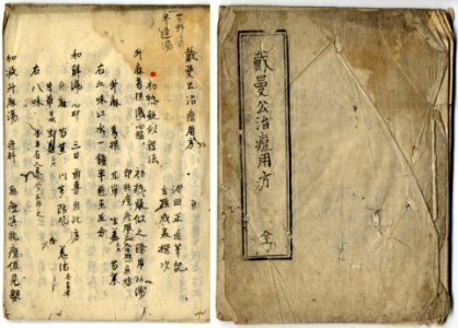 Dokuryusho-Taimanko-chitoyoho