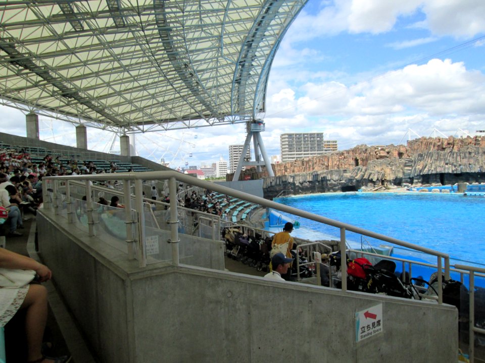 Dolphin show at the Port of Nagoya Public Aquarium 3