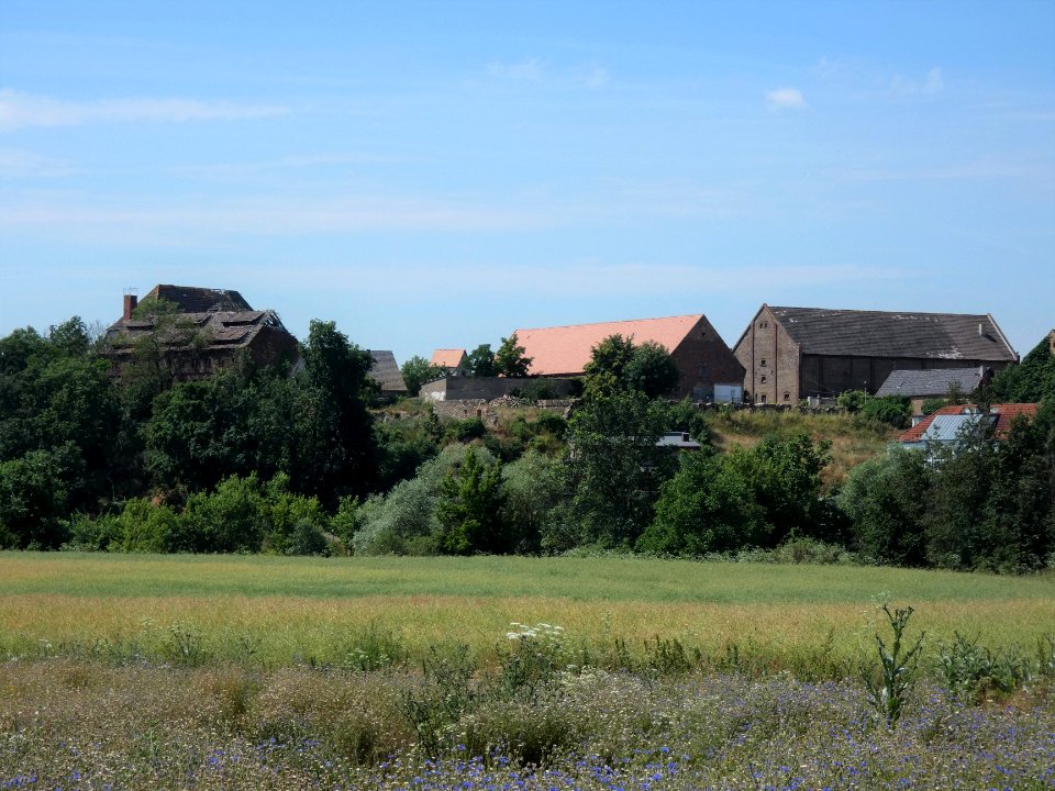 Domäne Lettin von der Franzigmark
