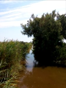 Domaine de Méjanes - Sentier pédestre - Roubine