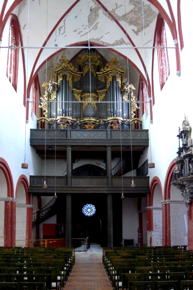 Dom (Brandenburg) Orgel