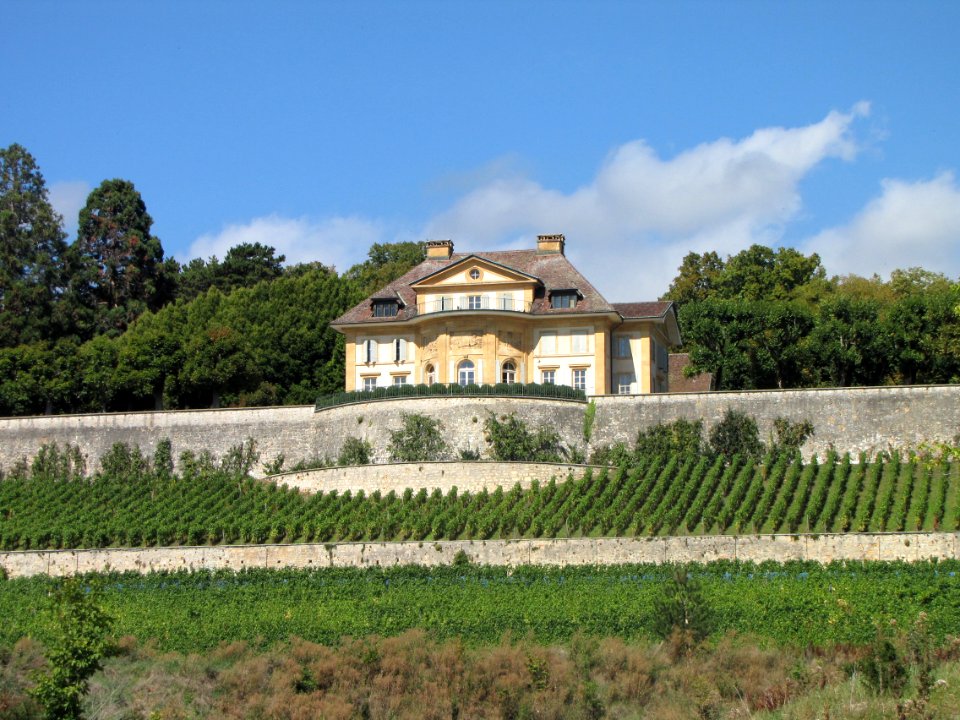 Domaine de Vaudijon