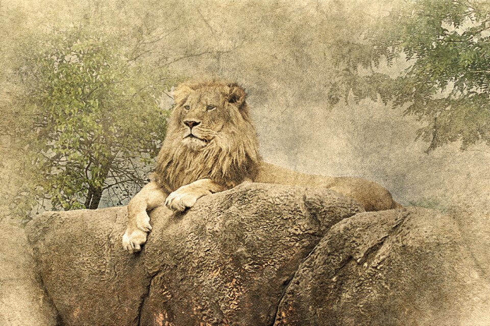 Art vintage animal