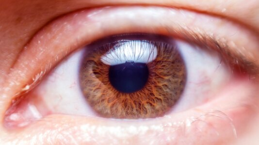 Young human eyeball photo