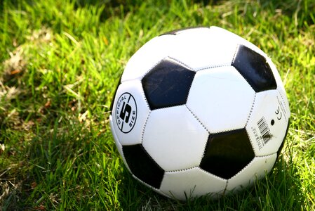 Football games soccer garden