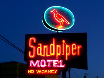 DooWop HD neon Sandpiper