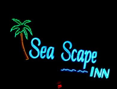 Doowop neon SeaScape