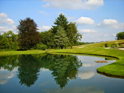 Green tree water flow photo