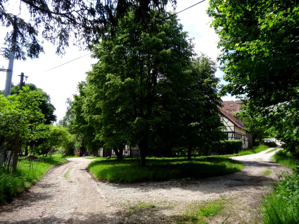 Dorfanger Mohrenthal