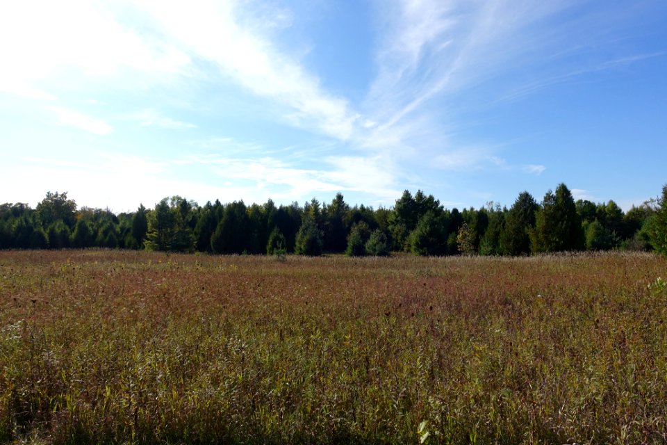 Door County Prarie (236055905)
