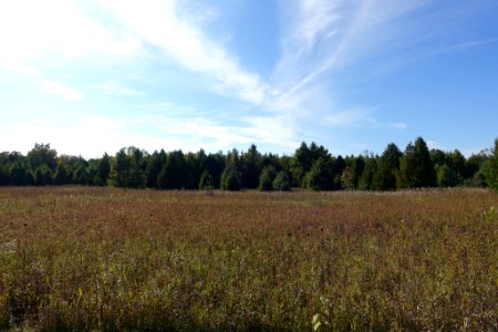 Door County Prarie (236055905)
