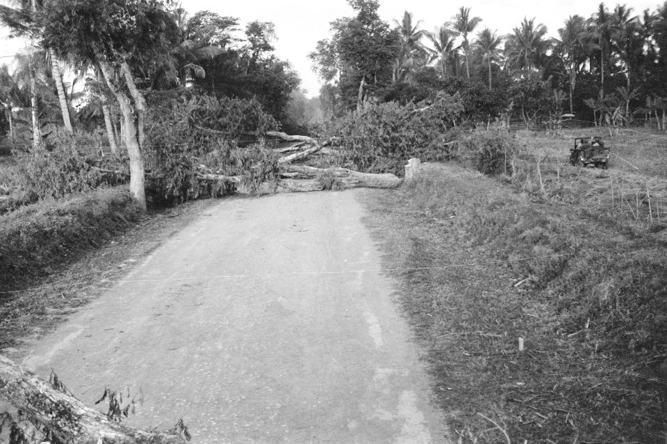 Door de TNI omgehakte boom als wegversperring, Bestanddeelnr 333-3-2