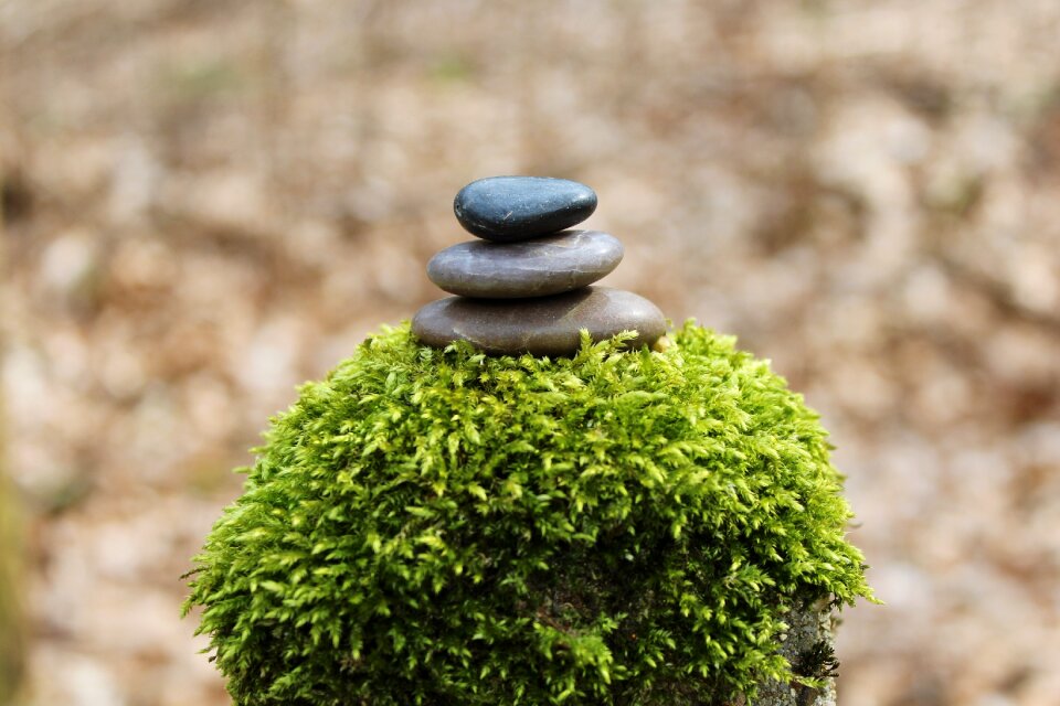 Balance still relaxation