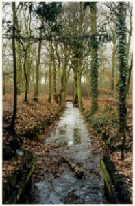 Door het Burgemeester Rijkenpark in Santpoort Noord loopt een verwaarloosde duinrel. NL-HlmNHA 54050167