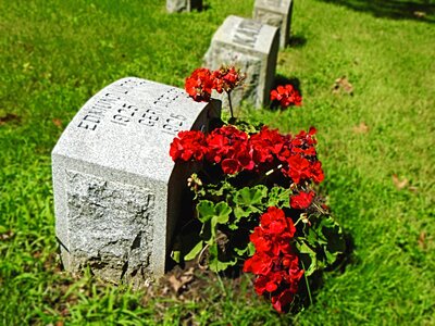 Gravestone cemetery graveyard photo