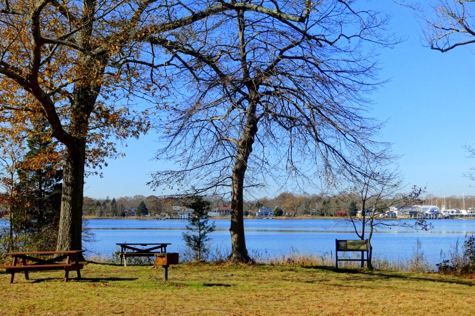 Dighton Rock State Park - Berkley, Massachusetts - DSC01959