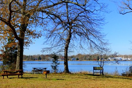 Dighton Rock State Park - Berkley, Massachusetts - DSC01959