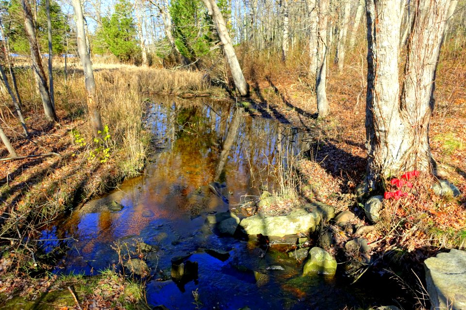 Dighton Rock State Park - Berkley, Massachusetts - DSC02016