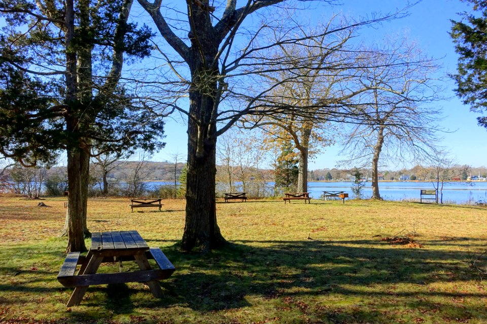 Dighton Rock State Park - Berkley, Massachusetts - DSC01957