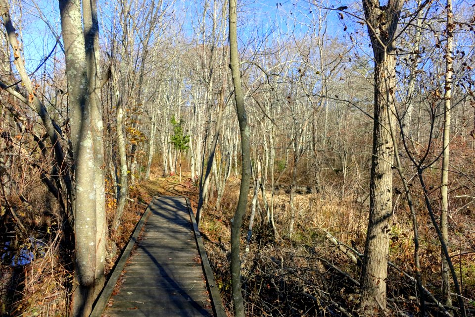 Dighton Rock State Park - Berkley, Massachusetts - DSC02008
