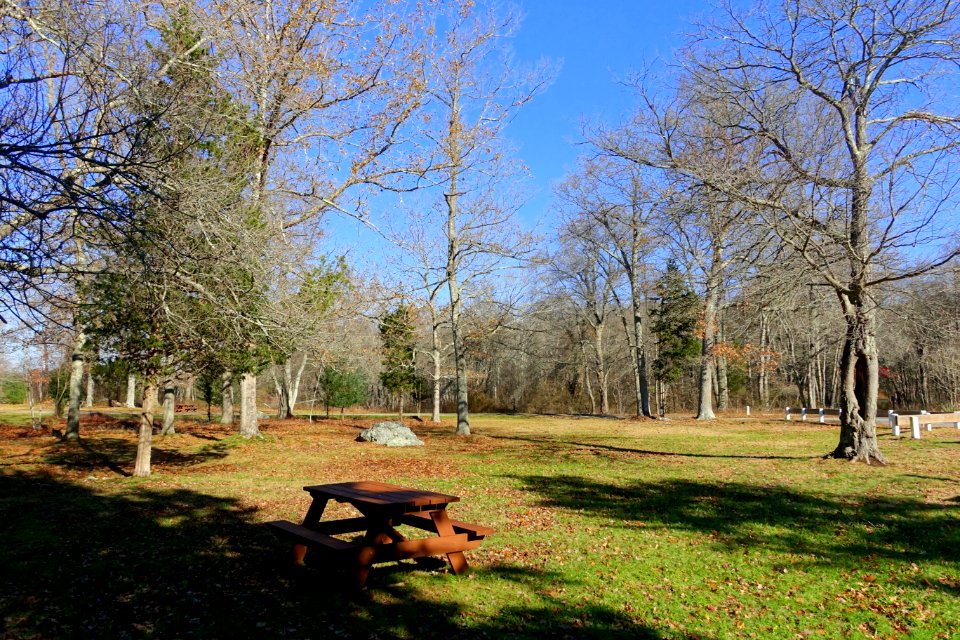 Dighton Rock State Park - Berkley, Massachusetts - DSC01953