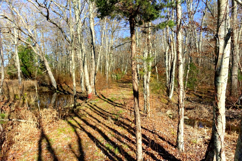 Dighton Rock State Park - Berkley, Massachusetts - DSC02014