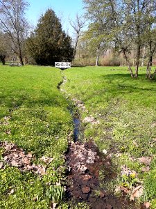 DieskauPark Pritschenteichgraben2