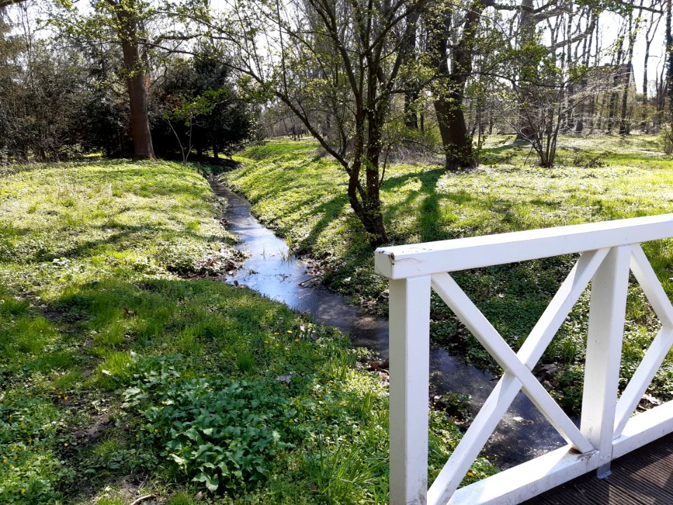 DieskauPark Pritschenteichgraben