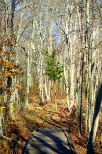 Dighton Rock State Park - Berkley, Massachusetts - DSC02012