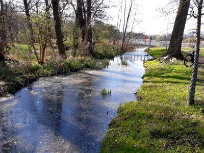 DieskauPark Zollteichwiesengraben