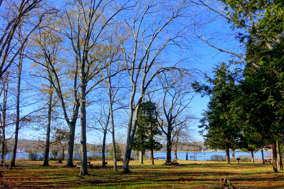 Dighton Rock State Park - Berkley, Massachusetts - DSC01955