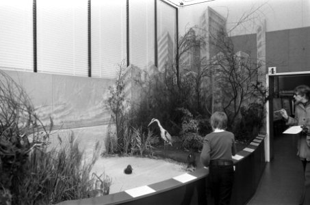 Diorama op tentoonstelling Amsterdam-dierenstad in Zoölogisch Museum, Bestanddeelnr 927-0178