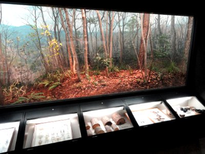 Diorama - Osaka Museum of Natural History - DSC07714