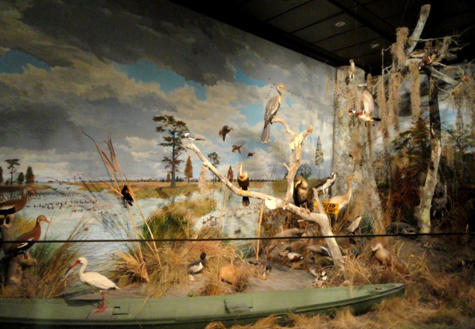 Diorama - Houston Museum of Natural Science - DSC02037