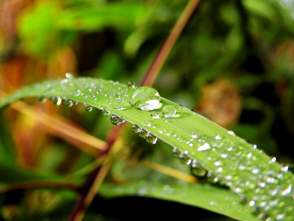 Close up liquid rain