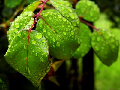 Close up liquid rain