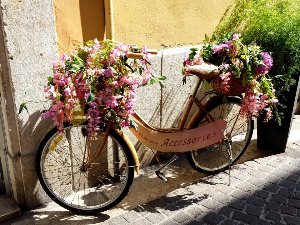 Shop lake garda flower
