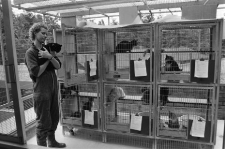 Dierenasiel Polderwerg in Amsterdam, Bestanddeelnr 934-0405