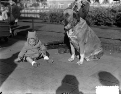 Dierendag kindje met grote hond, Bestanddeelnr 904-7915