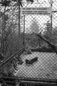 Dierenpark Wassenaar gesloten, Bestanddeelnr 933-4993